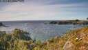 ./images/calvert/foggy-cove/20261002/foggy-cove20261002_160501M.jpg