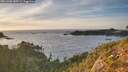 ./images/calvert/foggy-cove/20261002/foggy-cove20261002_183501M.jpg