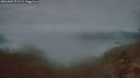 ./images/calvert/foggy-cove/20261003/foggy-cove20261003_071501M.jpg