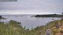 ./images/calvert/foggy-cove/20261003/foggy-cove20261003_081001M.jpg
