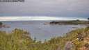 ./images/calvert/foggy-cove/20261003/foggy-cove20261003_084501M.jpg