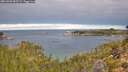 ./images/calvert/foggy-cove/20261003/foggy-cove20261003_085501M.jpg