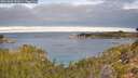 ./images/calvert/foggy-cove/20261003/foggy-cove20261003_091001M.jpg