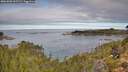 ./images/calvert/foggy-cove/20261003/foggy-cove20261003_102501M.jpg