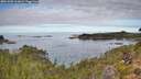 ./images/calvert/foggy-cove/20261003/foggy-cove20261003_110002M.jpg