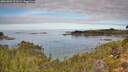 ./images/calvert/foggy-cove/20261003/foggy-cove20261003_111001M.jpg
