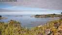 ./images/calvert/foggy-cove/20261003/foggy-cove20261003_112001M.jpg
