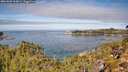 ./images/calvert/foggy-cove/20261003/foggy-cove20261003_113001M.jpg