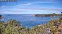 ./images/calvert/foggy-cove/20261003/foggy-cove20261003_114001M.jpg