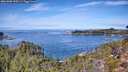 ./images/calvert/foggy-cove/20261003/foggy-cove20261003_120501M.jpg
