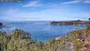 ./images/calvert/foggy-cove/20261003/foggy-cove20261003_121001M.jpg