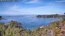 ./images/calvert/foggy-cove/20261003/foggy-cove20261003_122001M.jpg