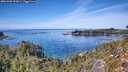 ./images/calvert/foggy-cove/20261003/foggy-cove20261003_132001M.jpg