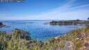 ./images/calvert/foggy-cove/20261003/foggy-cove20261003_132501M.jpg