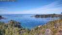 ./images/calvert/foggy-cove/20261003/foggy-cove20261003_133001M.jpg