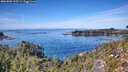 ./images/calvert/foggy-cove/20261003/foggy-cove20261003_133501M.jpg