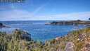 ./images/calvert/foggy-cove/20261003/foggy-cove20261003_135501M.jpg