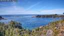 ./images/calvert/foggy-cove/20261003/foggy-cove20261003_140001M.jpg