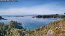 ./images/calvert/foggy-cove/20261003/foggy-cove20261003_155502M.jpg