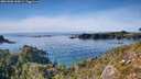 ./images/calvert/foggy-cove/20261003/foggy-cove20261003_160002M.jpg