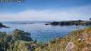 ./images/calvert/foggy-cove/20261003/foggy-cove20261003_160501M.jpg