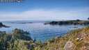 ./images/calvert/foggy-cove/20261003/foggy-cove20261003_161001M.jpg