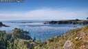 ./images/calvert/foggy-cove/20261003/foggy-cove20261003_161502M.jpg