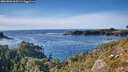 ./images/calvert/foggy-cove/20261003/foggy-cove20261003_163501M.jpg