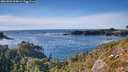 ./images/calvert/foggy-cove/20261003/foggy-cove20261003_164001M.jpg