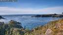 ./images/calvert/foggy-cove/20261003/foggy-cove20261003_164501M.jpg