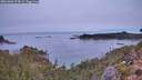 ./images/calvert/foggy-cove/20261004/foggy-cove20261004_074501M.jpg