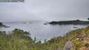 ./images/calvert/foggy-cove/20261004/foggy-cove20261004_081501M.jpg