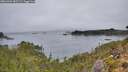 ./images/calvert/foggy-cove/20261004/foggy-cove20261004_082501M.jpg