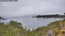 ./images/calvert/foggy-cove/20261004/foggy-cove20261004_083001M.jpg