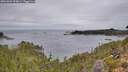 ./images/calvert/foggy-cove/20261004/foggy-cove20261004_094001M.jpg