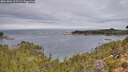 ./images/calvert/foggy-cove/20261004/foggy-cove20261004_101501M.jpg