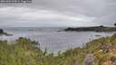 ./images/calvert/foggy-cove/20261004/foggy-cove20261004_104501M.jpg