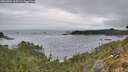 ./images/calvert/foggy-cove/20261004/foggy-cove20261004_105501M.jpg