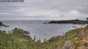 ./images/calvert/foggy-cove/20261004/foggy-cove20261004_110501M.jpg