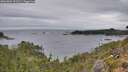 ./images/calvert/foggy-cove/20261004/foggy-cove20261004_111501M.jpg