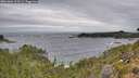 ./images/calvert/foggy-cove/20261004/foggy-cove20261004_113501M.jpg
