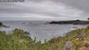./images/calvert/foggy-cove/20261004/foggy-cove20261004_114501M.jpg