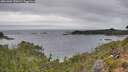 ./images/calvert/foggy-cove/20261004/foggy-cove20261004_120501M.jpg