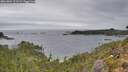 ./images/calvert/foggy-cove/20261004/foggy-cove20261004_121501M.jpg