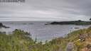 ./images/calvert/foggy-cove/20261004/foggy-cove20261004_122501M.jpg