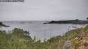 ./images/calvert/foggy-cove/20261004/foggy-cove20261004_134001M.jpg