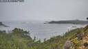 ./images/calvert/foggy-cove/20261005/foggy-cove20261005_081501M.jpg