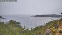 ./images/calvert/foggy-cove/20261005/foggy-cove20261005_082001M.jpg