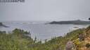./images/calvert/foggy-cove/20261005/foggy-cove20261005_082502M.jpg