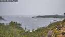 ./images/calvert/foggy-cove/20261005/foggy-cove20261005_083001M.jpg